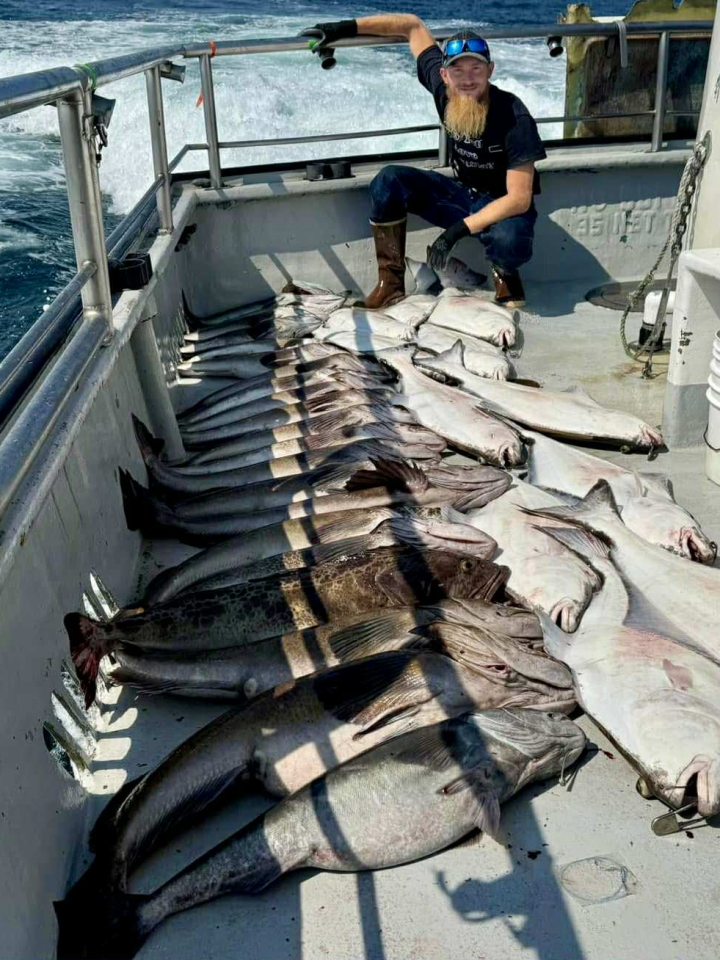 Person kneeling on boat deck with large fish lined up and ocean visible in background.